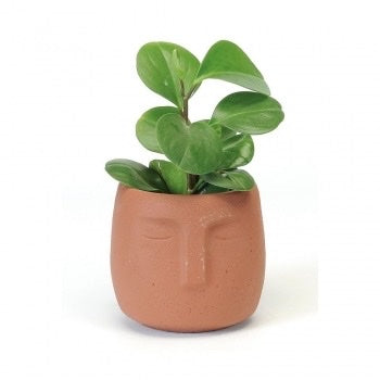 Terracotta Face Pot - BBL