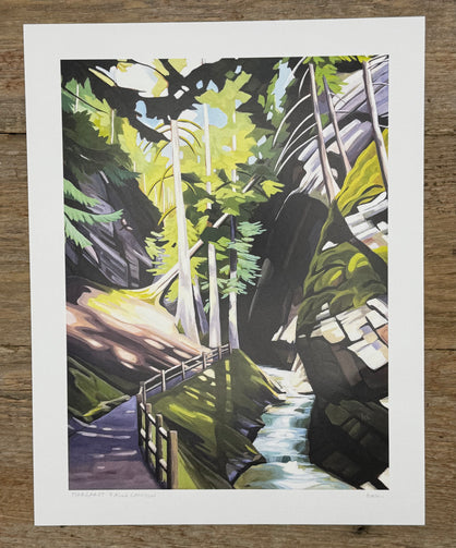 Colorful illustration of a forest scene with a stream on a wooden surface