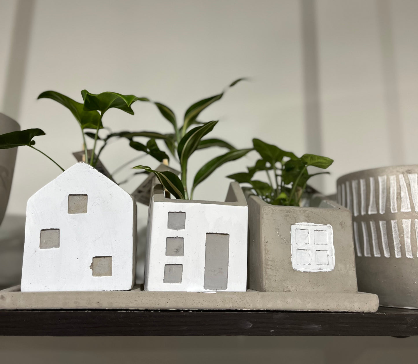 House Planters set of 3 on Tray