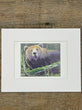 Matted print of a bear in a natural setting on a wooden surface