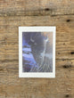Bison on a card