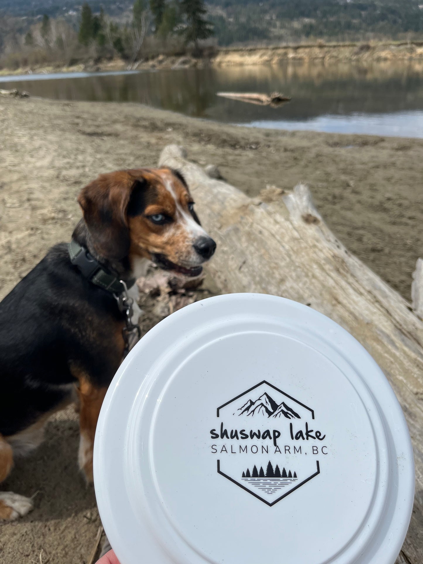 Frisbee Shuswap Lake