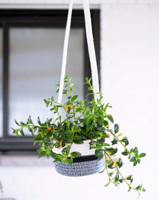 Cotton Hanging Planter Black & White