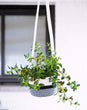 Cotton Hanging Planter Black & White