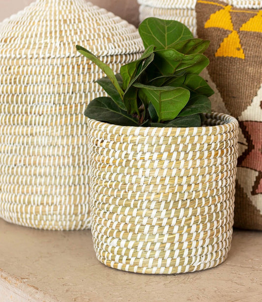 Coiled Grass Planter  Basket - BBL