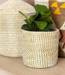 Coiled Grass Planter Basket - BBL