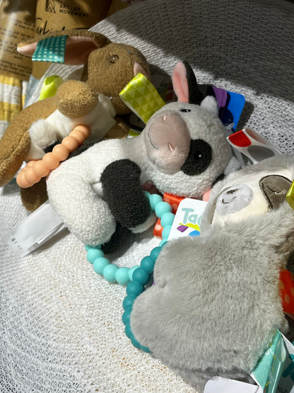 Baby Rattles - Taggies 0M+ Assorted Animals EA