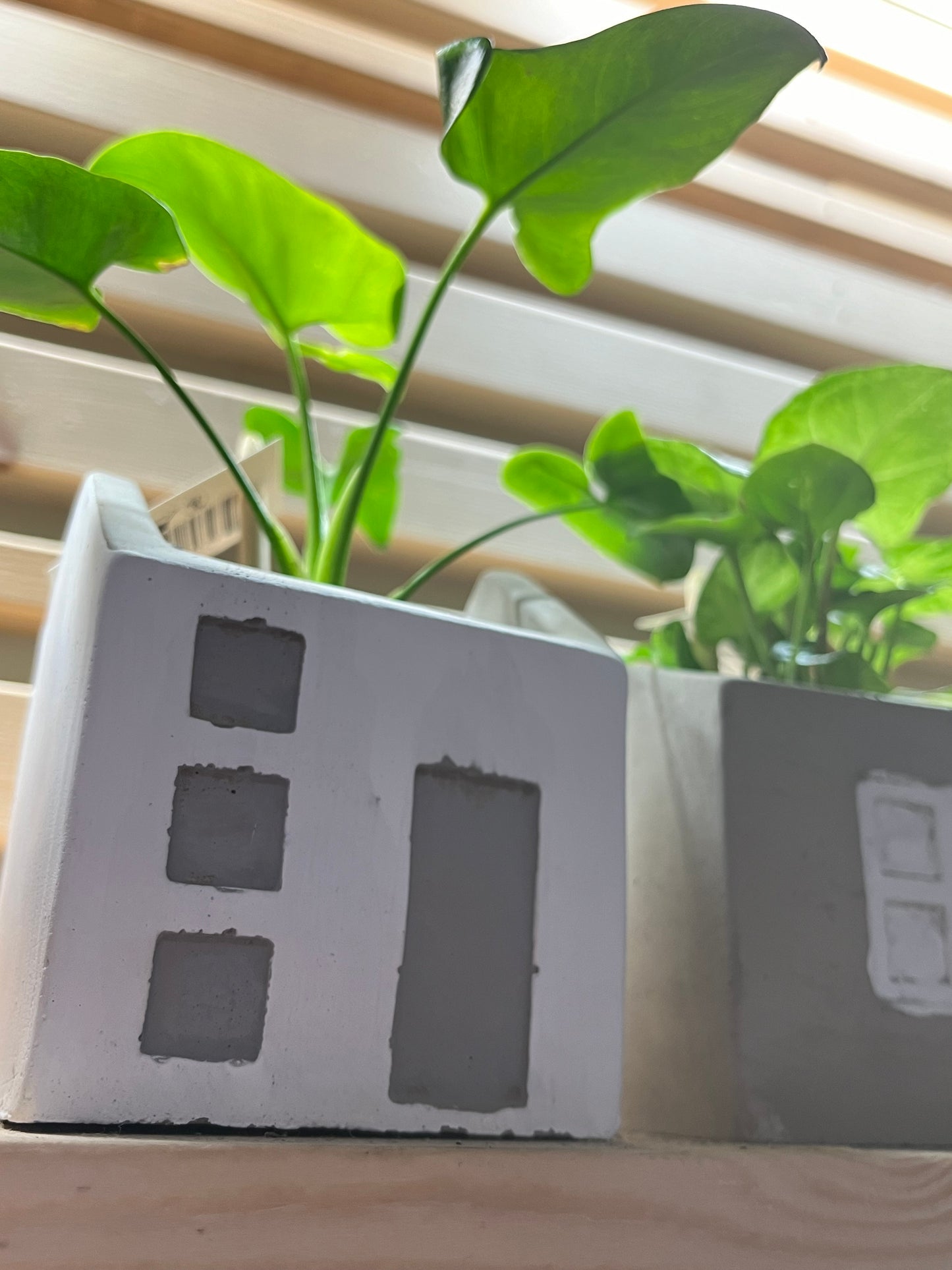 House Planters set of 3 on Tray