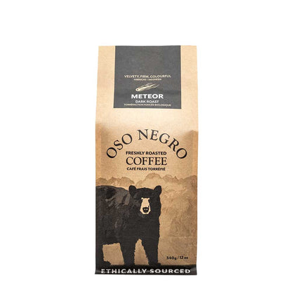 Oso Negro