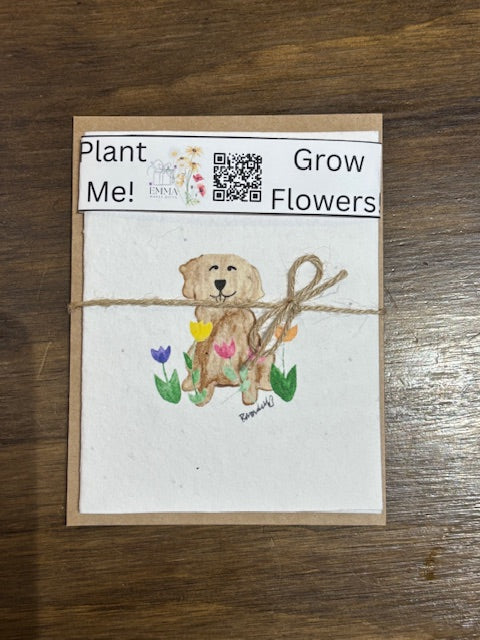 Handpainted Watercolor Cards on Plantable Paper