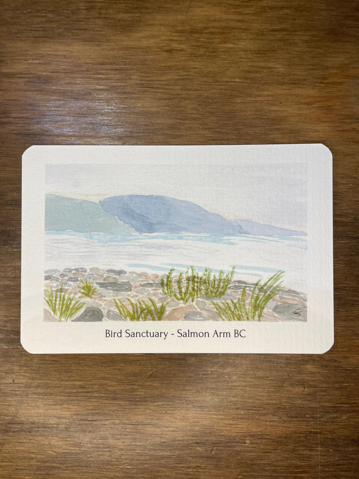 Watercolour Post Cards