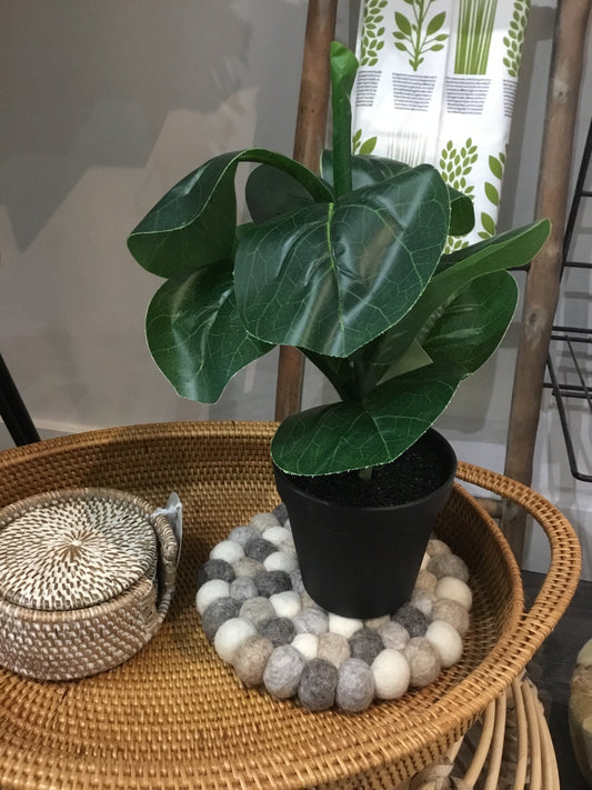 Artificial  Plant ea