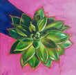Flora & Fauna Paintings - Local Artist