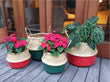 Belly Basket ea or Duo in Red or Green SALE
