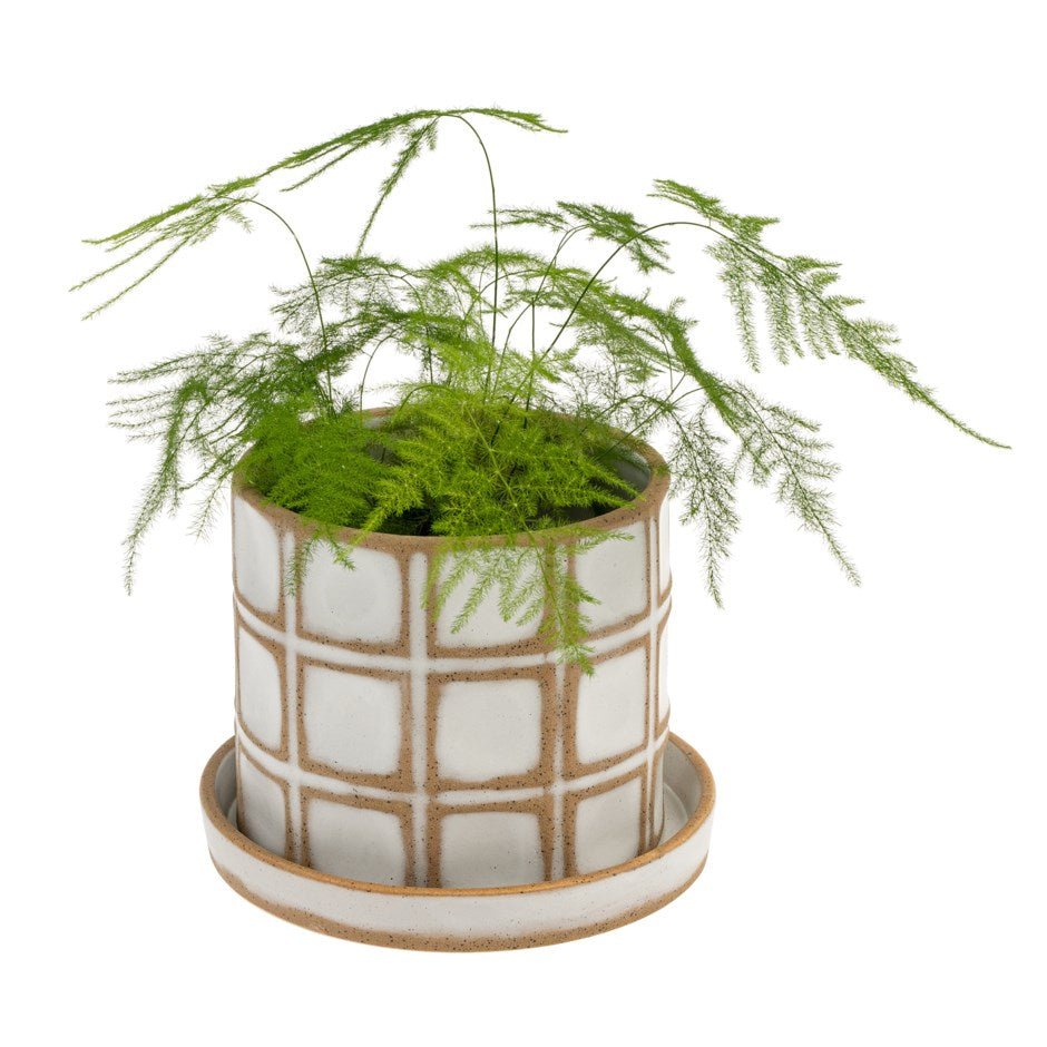 Planter Pot with Tray  - Indaba