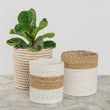 Plant Basket White/Natural Ea