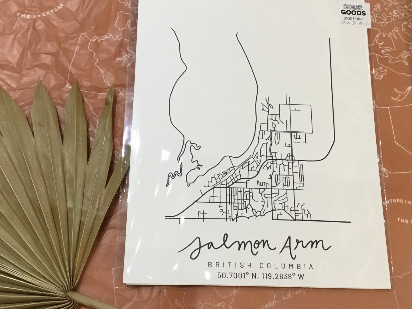 Local Maps of the Shuswap and Salmon Arm 8x10 Prints